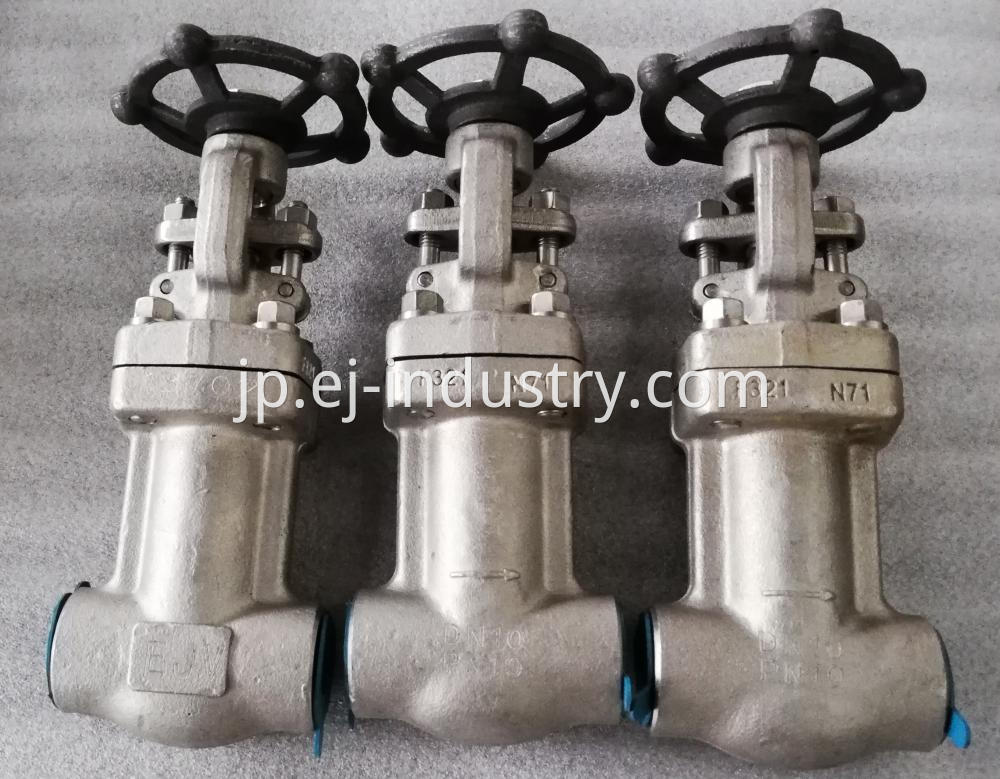 F321 Bellow Globe Valve